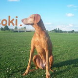 Foto van Lilly & Csoki