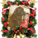 Foto van Willemijn - baasje van Vika .           Bams  en Ogin   ¥ .