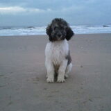 Gijs op strand