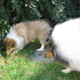 Foto van Liesbeth