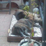 lekkert in de tuin op het matras :-)