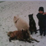 mijn zoon 2,5 al druk met de honden :-)