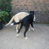 Foto van Suzan