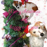 made with adobe photoshop CS6