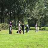 op de dogclub
