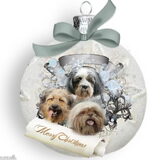 Foto van liesbeth,Turbo,Luna, Levi en Faith