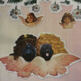 Onze kerstkaart van 2012