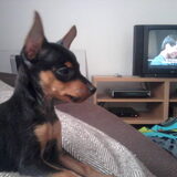 Foto van Chico en Louisa
