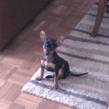 Foto van Chico en Louisa