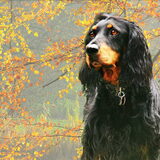 Foto van Ina, Misty en Aysa