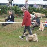 Barney Clubmatch 2009