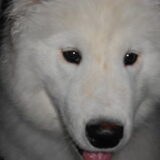 mikai 16/12/12