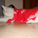 mikai 16/12/12