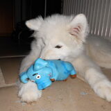 mikai 16/12/12