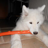 mikai 16/12/12