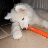 mikai 16/12/12