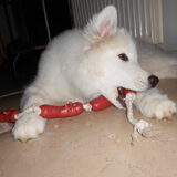 mikai 16/12/12