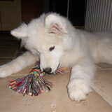 mikai 16/12/12