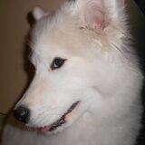 mikai 16/12/12