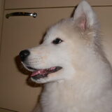 mikai 16/12/12