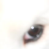 mikai zijn oog 16/12/12