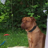Luna op de camping