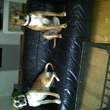 2 lover rico en bella