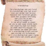 Mooi gedicht