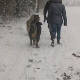 Foto van Ger