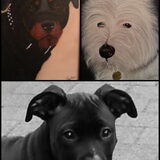 Lana(R.I.P.) van mij(Bert). Noeska(R.I.P.) van Brigitte en onze Danger.