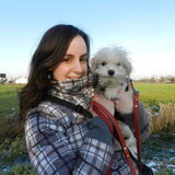 Samen met Snow de Maltezer pup