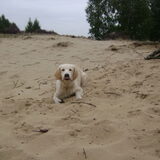 Foto van Chocomelk van Jessy & Storm en ***Blondie & Tara***
