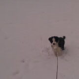 Sneeuw !