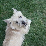 Bailey
