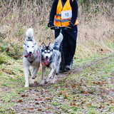 Foto van Patricia & de Musketiers
