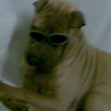 ons bono
