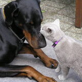 Ik vind jou lief!!!