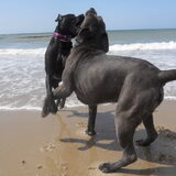 its take's two to tango