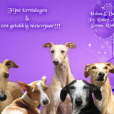 Foto van helma
