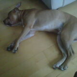 Sleepy rico