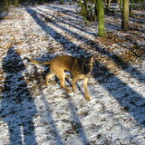 Foto van Kyra *Shadow* Angel
