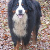Foto van tessa