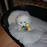 dit is kleine Noa