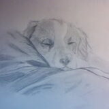 Olly (van Judith)
