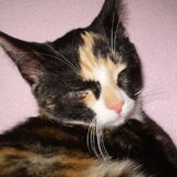 Luna met haar oogjes dicht