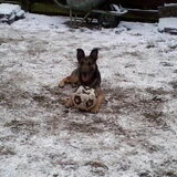Foto van Tessa&Rexy
