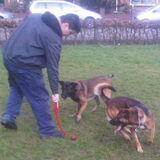 lekker balletje gooien