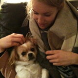 Foto van Sam