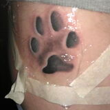 Tattoo Bailey zijn pootafdruk