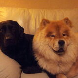 Buddha & Dottie.